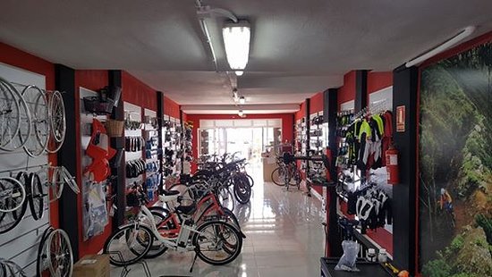 Pedalis Bike Rental