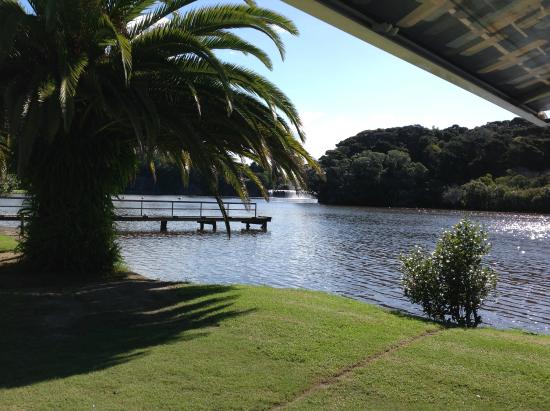 Paihia Mountain Bike Rentals