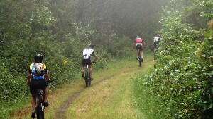 Tokoroa New Zealand Mountain