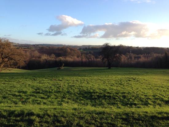 Barnett Demesne Mountain Bike Trails