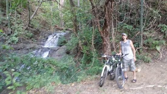 Jungle Howlers Mountain Bike Tours