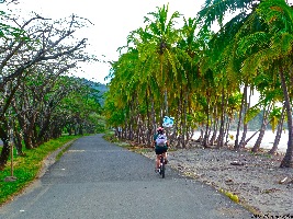 Electric Bikes