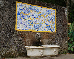 Tijuca National Park
