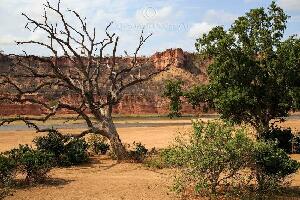 Gonarezhou National Park