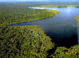 Miri Sarawak National Park