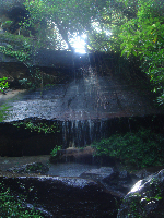 Mukdahan Thailand National park