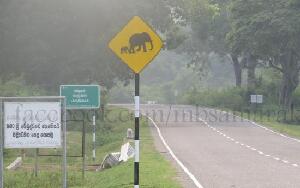Ampara Sri Lanka National Park