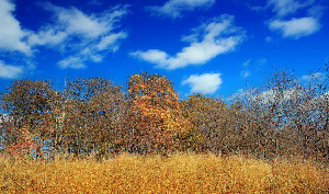 Delaware Water Gap United States Recreation Area