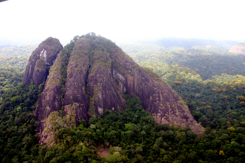 National Park Tumucumaque Montains