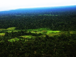 Itaituba Brazil National Park