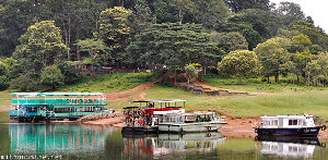 Thekkady India National Park