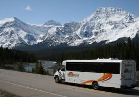 SunDog Transportation and Tours