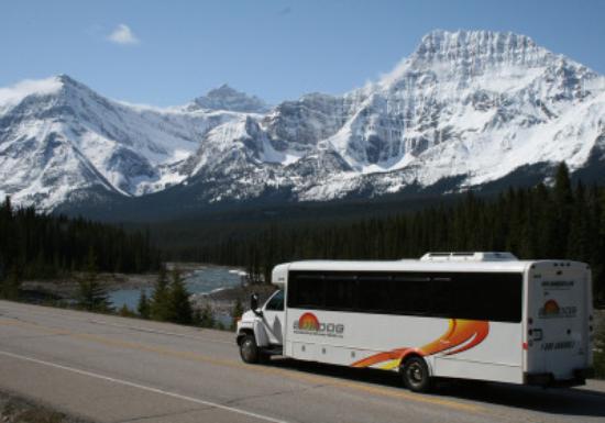SunDog Transportation and Tours