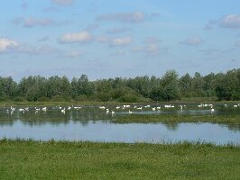 Lubusz Province Poland National Park