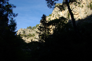 Milli Park  Cd Turkey National Park