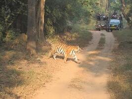 Mandla India Park