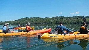 Bioluminescent Bay  Puerto Rico Kayak
