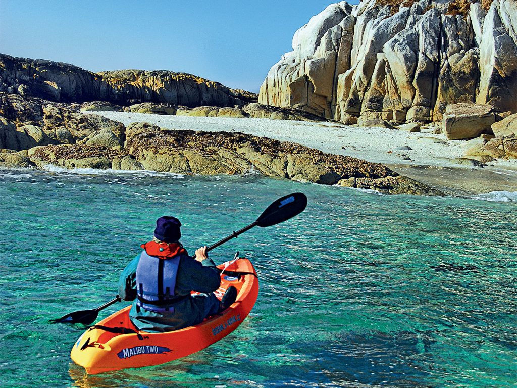 North Island Kayak