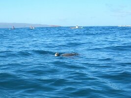 Hawaii United States Kayak