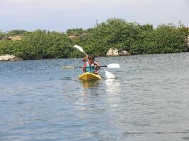 Aruba Kayak Adventure