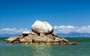 Kaiteriteri Kayaks