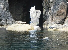 Sea Kayak Shetland