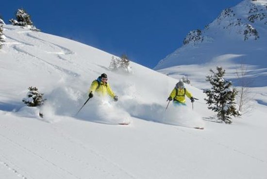 Adrenaline (ESI) Ecole de Ski Verbier