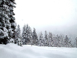 Les Gets France Ski