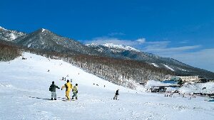 Amiharionsen Japan Ski