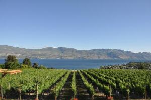 Salmon Arm Canada Dive