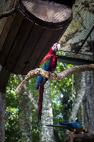 Parque Quinta da Boa Vista Brazil Zoo