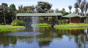 Jardin Botanico de Bogota Jose Celestino Mutis