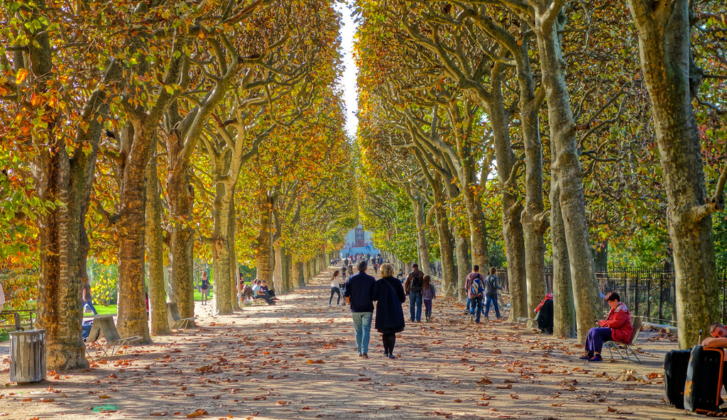 Jardin des Tuileries