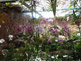 Jardin de Orquideas de Sitio Litre