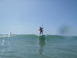 Pata Negra Surf