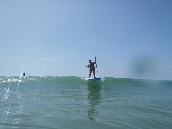 Pata Negra Surf