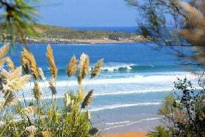 La Curva Escuela de Surf