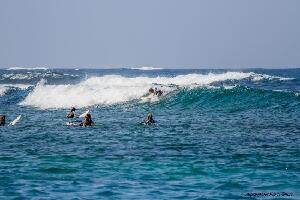 Aloha Surf Academy
