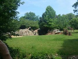 Asheboro United States Zoo
