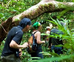 Amazon Brazil Jungle Tour Backpackers