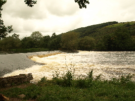 Cork Ireland Park