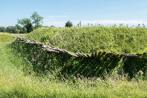 Yorktown Battlefield