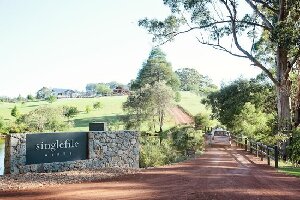 Singlefile Wines
