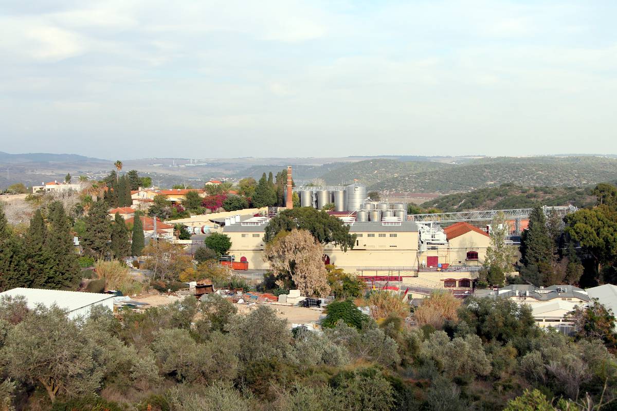 Carmel Winery