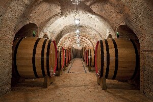 Cantina Fattoria della Talosa