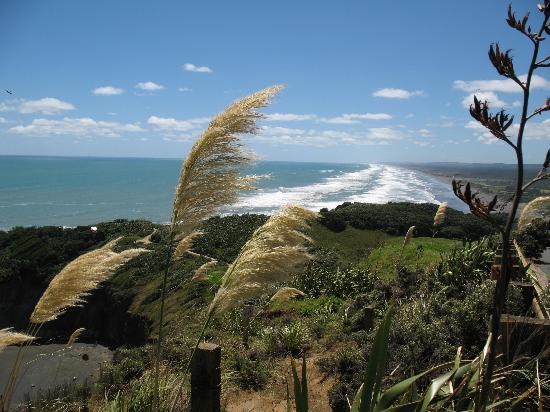 NZWINEPRO - Auckland Wine Tours