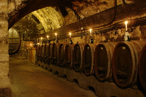 The Cellar Wine and Dine