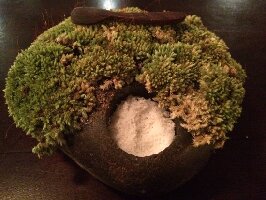 Urchin Bali