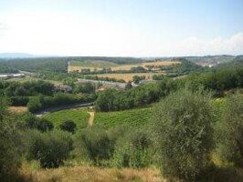 Horseback riding in Tuscany Wine Tasting
