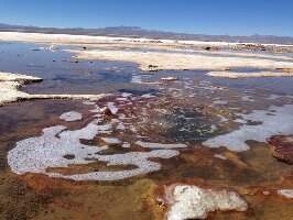 Andes Salt Expeditions - Day Tours